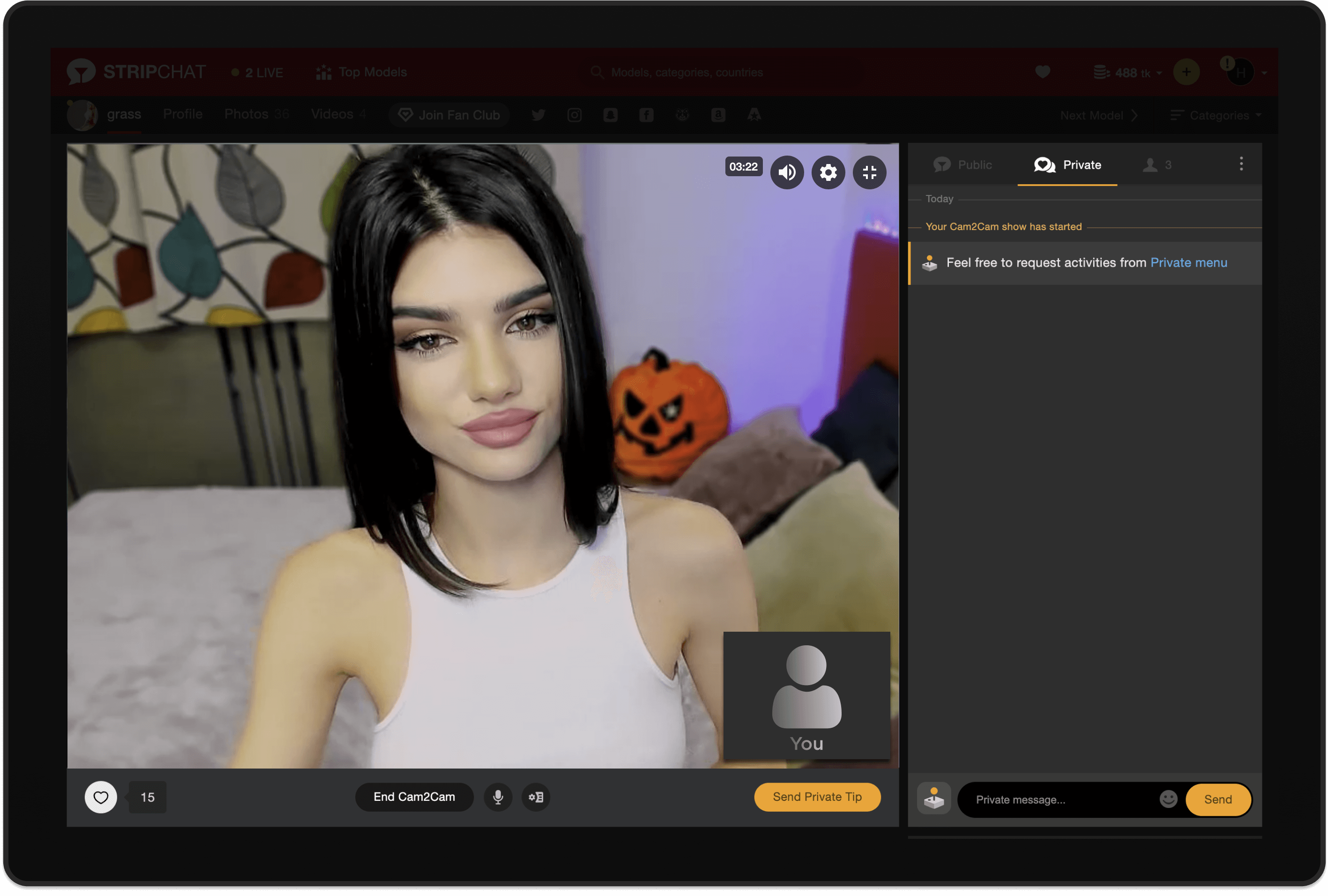 Cam2cam webcam